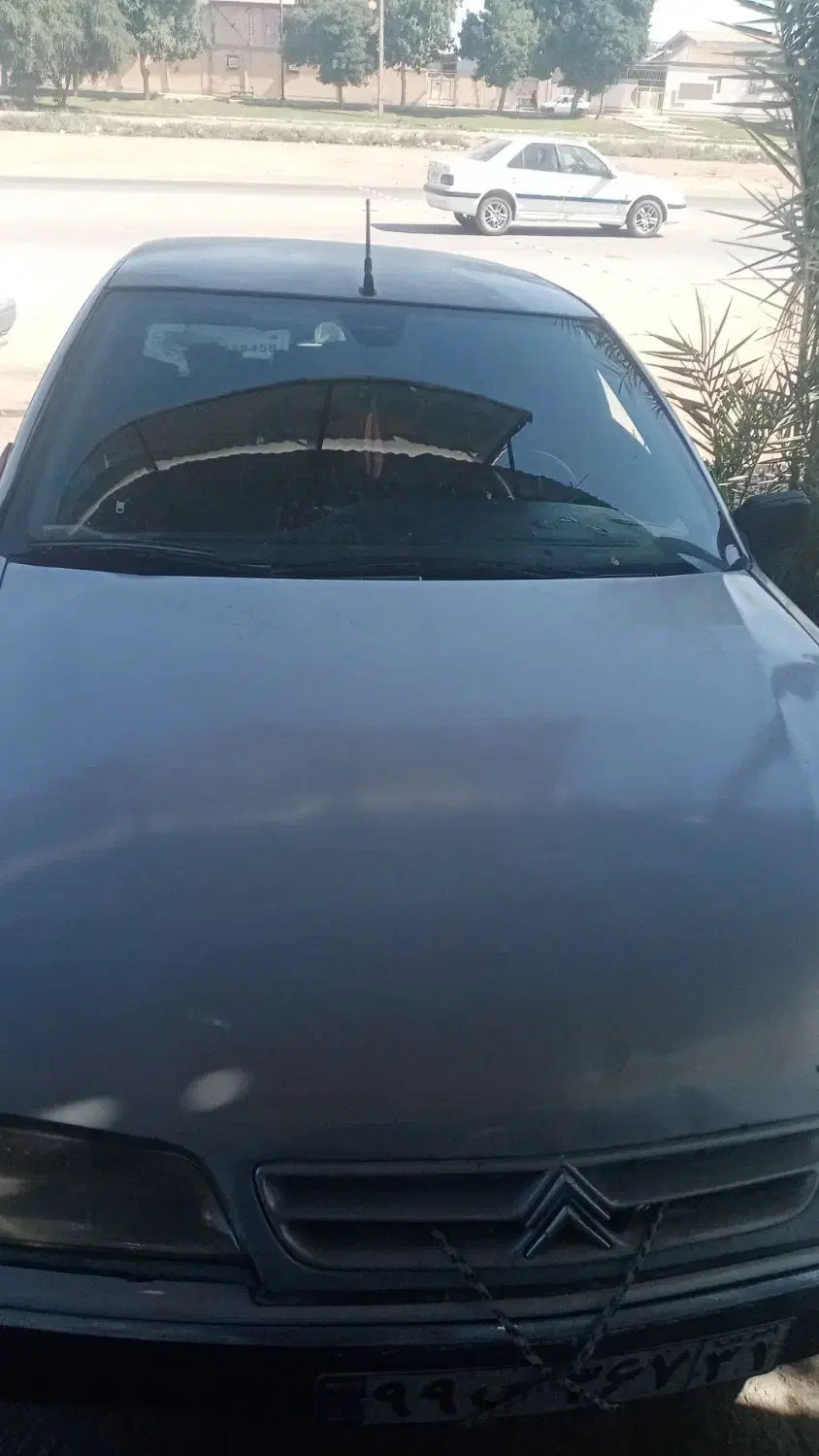 شوش|خودرو سواری و وانت|شوش, |دیوار