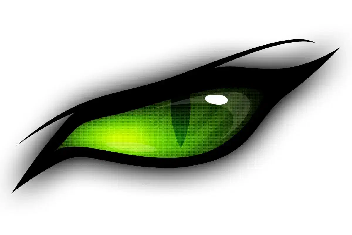 دوربین مدار بسته|خدمات پیشه و مهارت|کیش, |دیوار