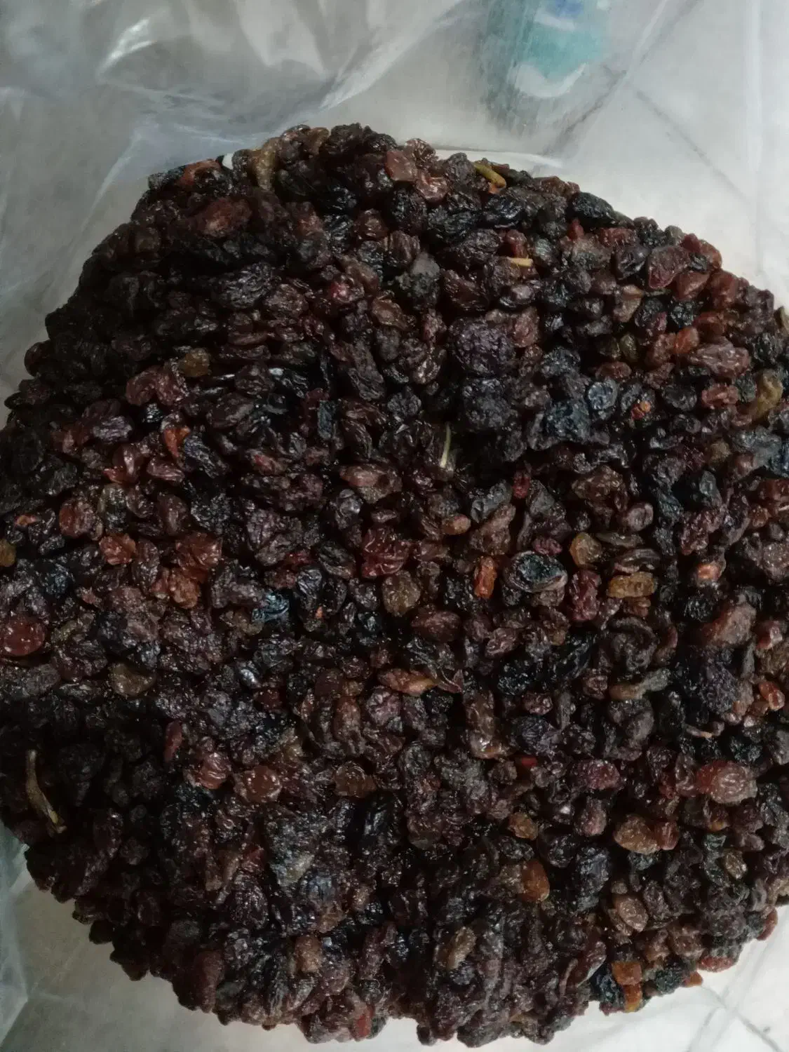 بی دونه آفتابی بدونه هسته|خوردنی و آشامیدنی|ماهدشت, |دیوار