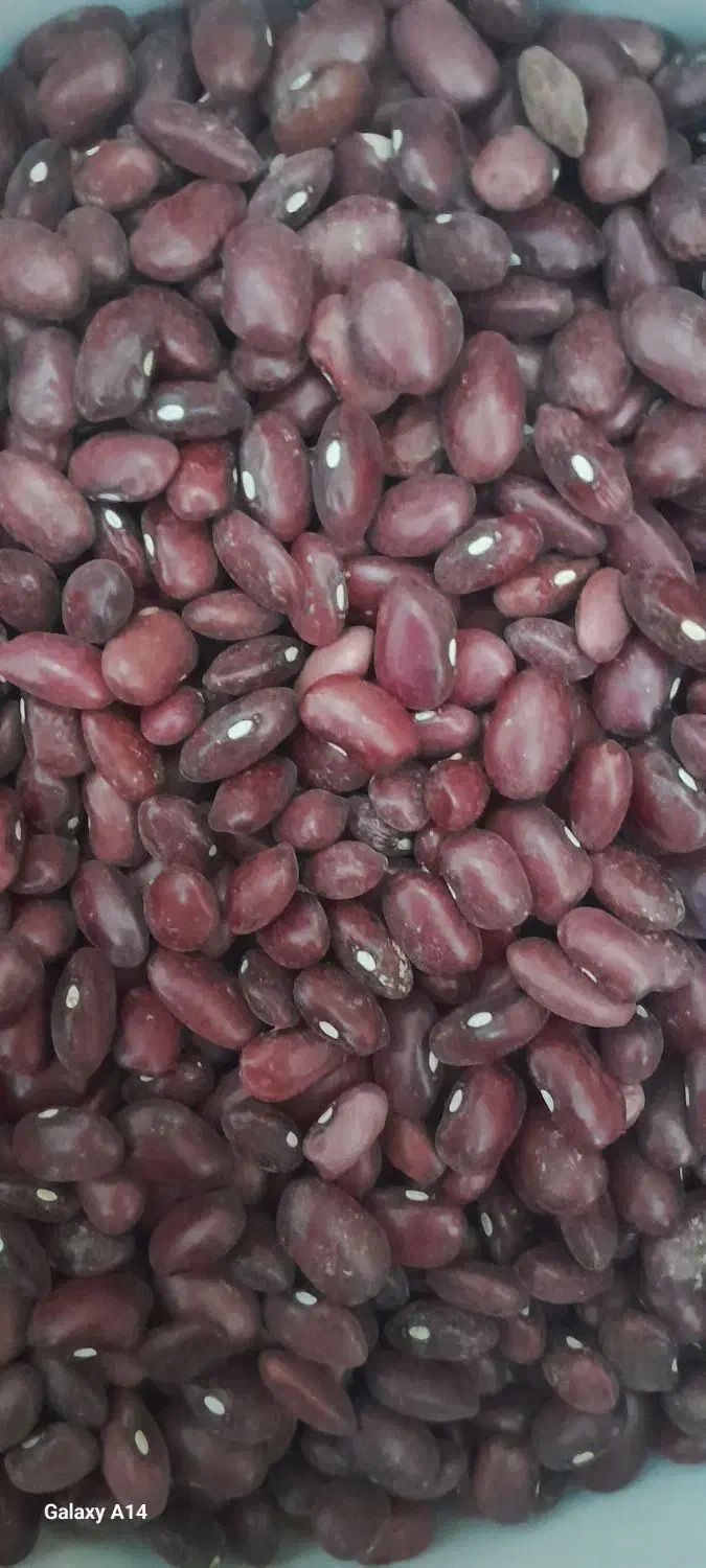 لوبیا قرمز|خوردنی و آشامیدنی|کیار, |دیوار