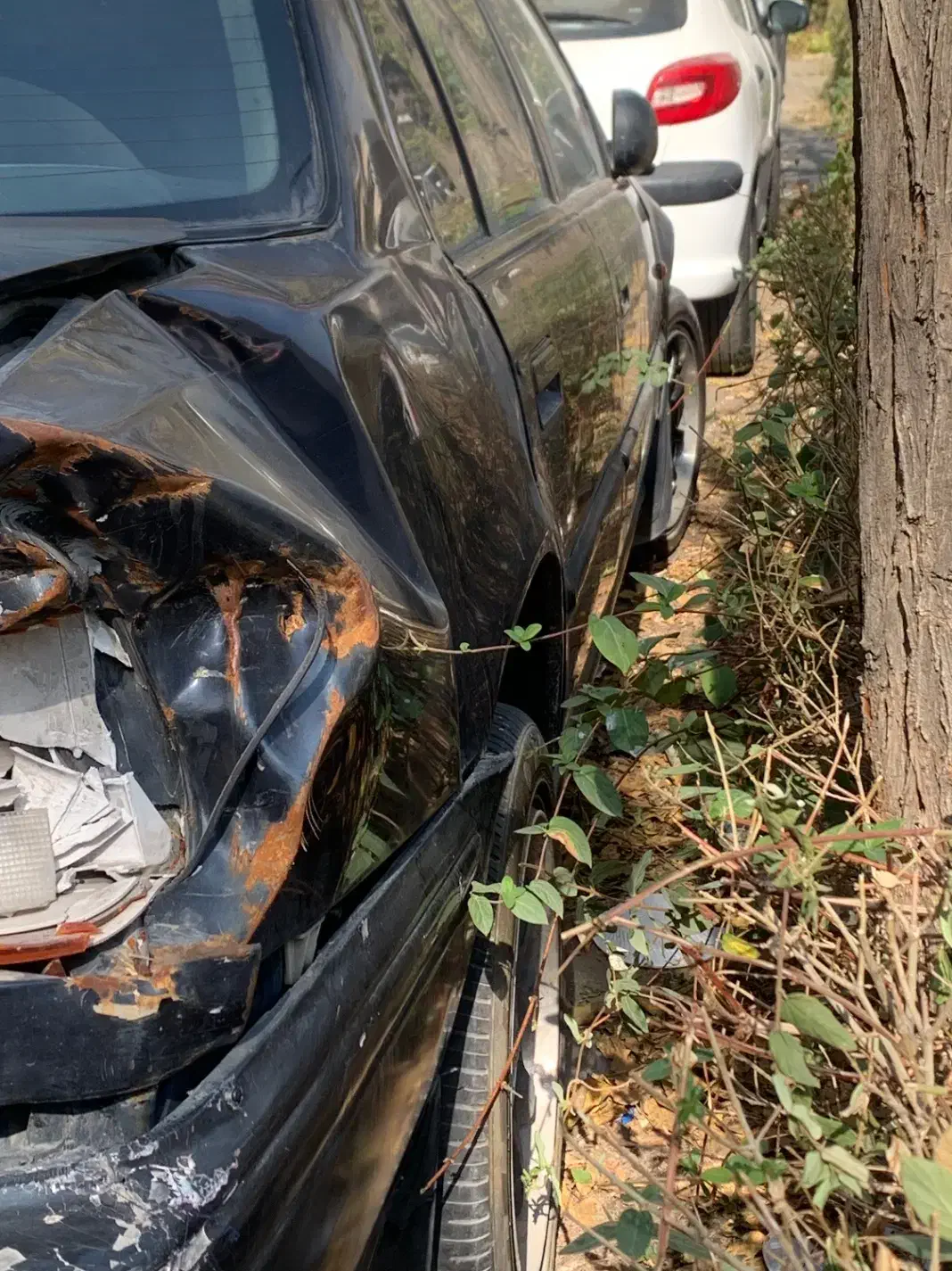 هوندا اکورد مدل 1993 ex|خودرو سواری و وانت|تهران, الهیه|دیوار