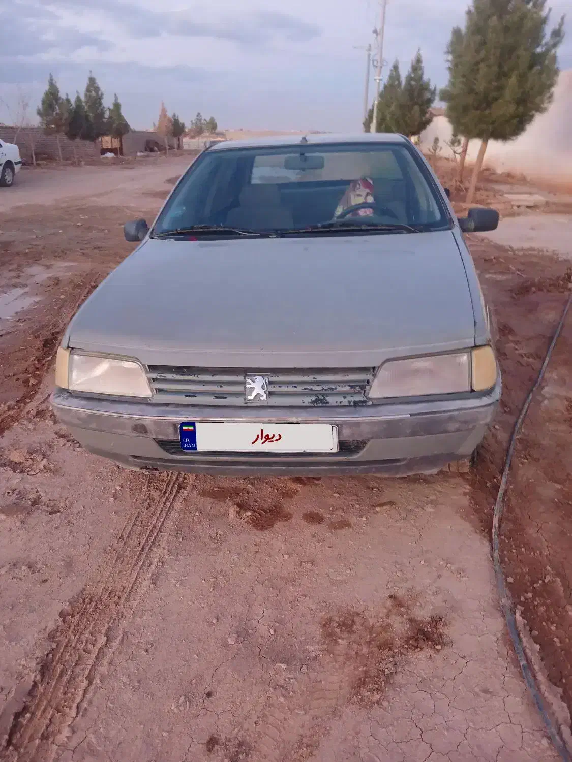 فروش اردی|خودرو سواری و وانت|برخوار, |دیوار