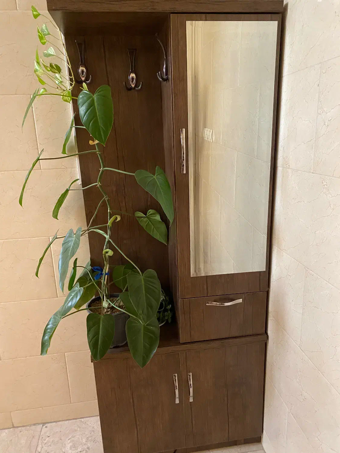 جاکفشی|جاکفشی، کمد، دراور|اسلام‌شهر, شهرک مصطفی خمینی|دیوار