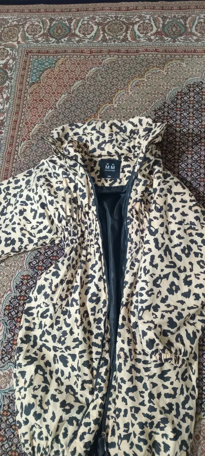 کاپشن زنانه|لباس|مشکین‌دشت, |دیوار