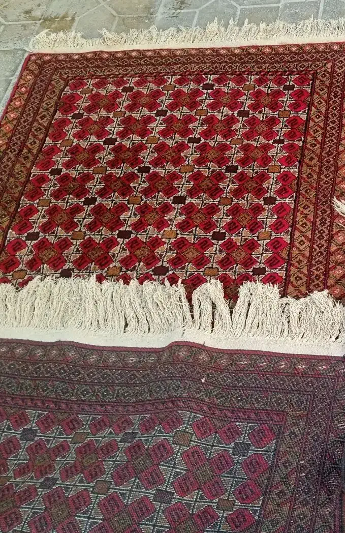 قالیچه دستباف نو|فرش|تربتحیدریه, مظفریه|دیوار