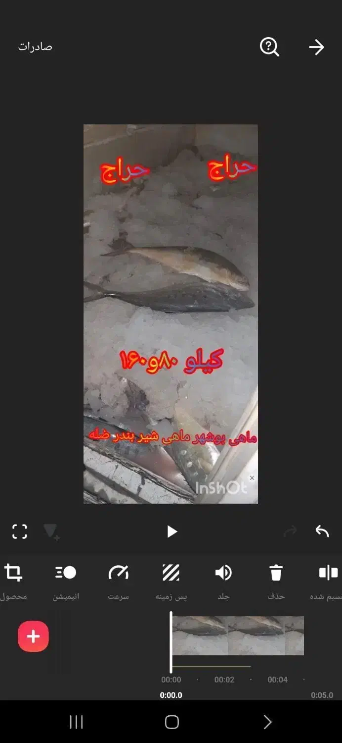 حراج حراج ماهی دریا|ماهی|دوگنبدان, |دیوار