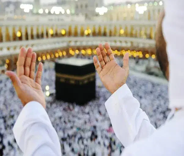 فروش دو عدد فیش حج تمتع|تور و چارتر|جهرم, |دیوار