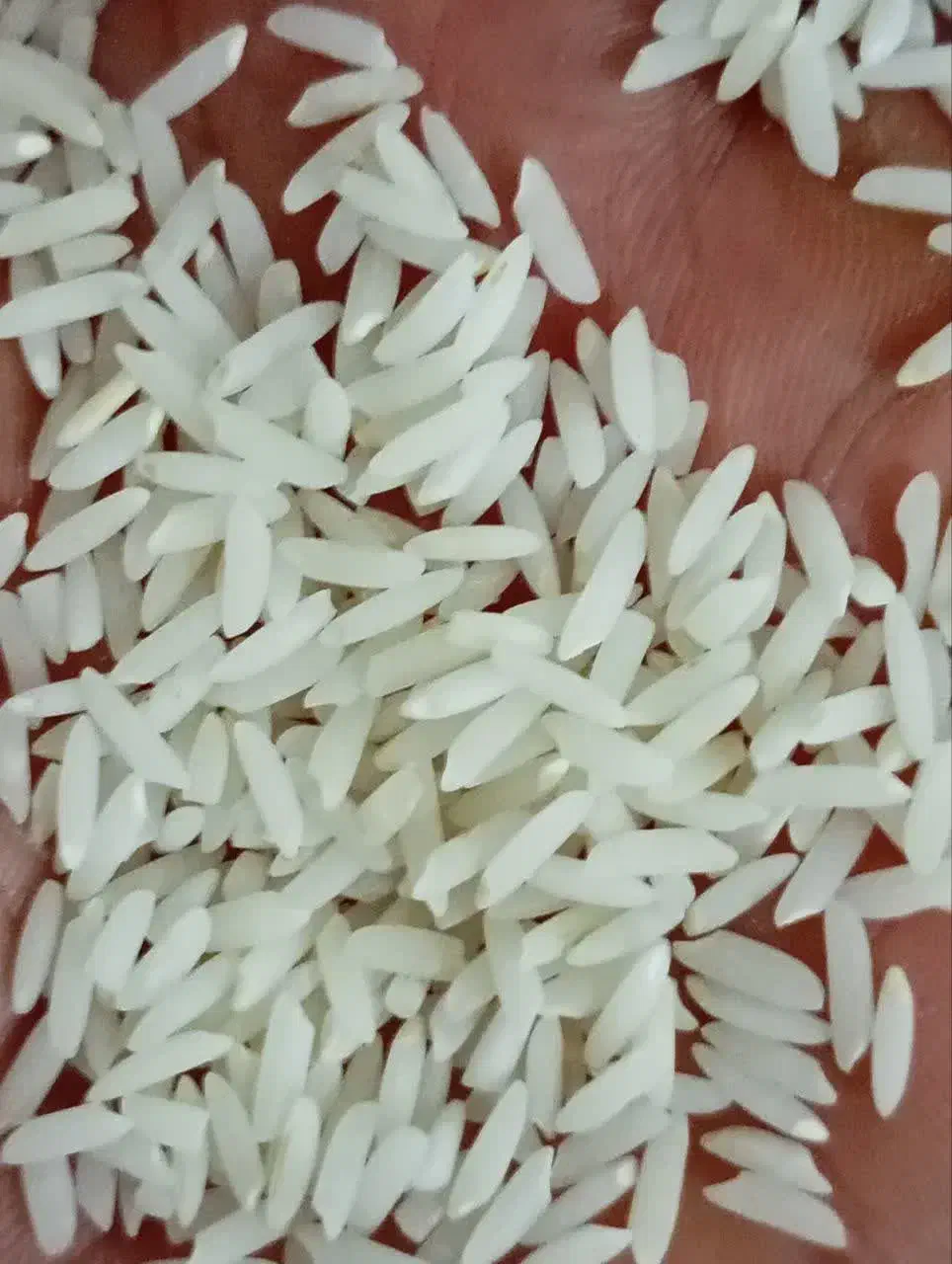 برنج کلات بوجار شده|خوردنی و آشامیدنی|مشهد, شهرک امام هادی (شهرک غرب)|دیوار