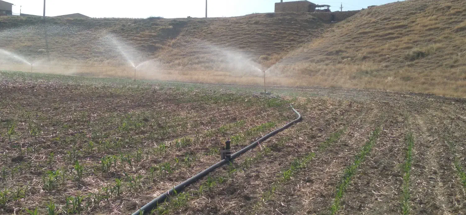 فروش فوری زمین کشاورزی آبی سد هاله|فروش دفتر صنعتی، کشاورزی، تجاری|کوهدشت, |دیوار