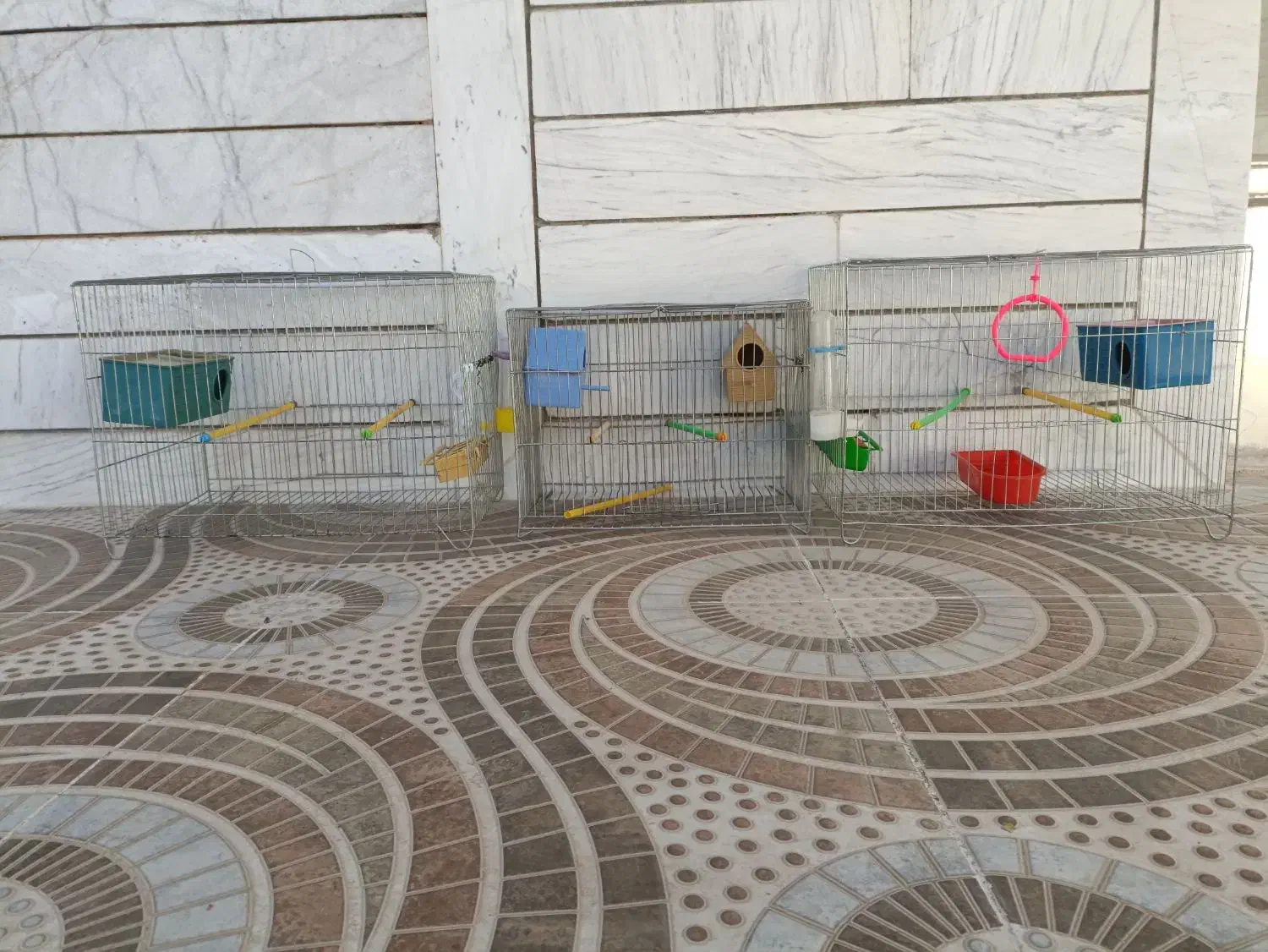 قفس|لوازم جانبی حیوانات|شهرکرد, |دیوار