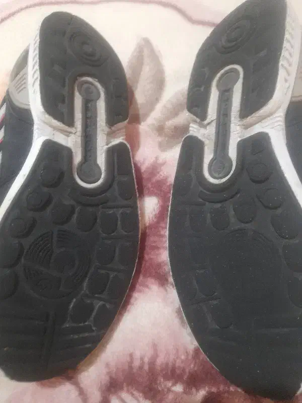 کفش|کیف، کفش، کمربند|کرج, کلاک نو|دیوار