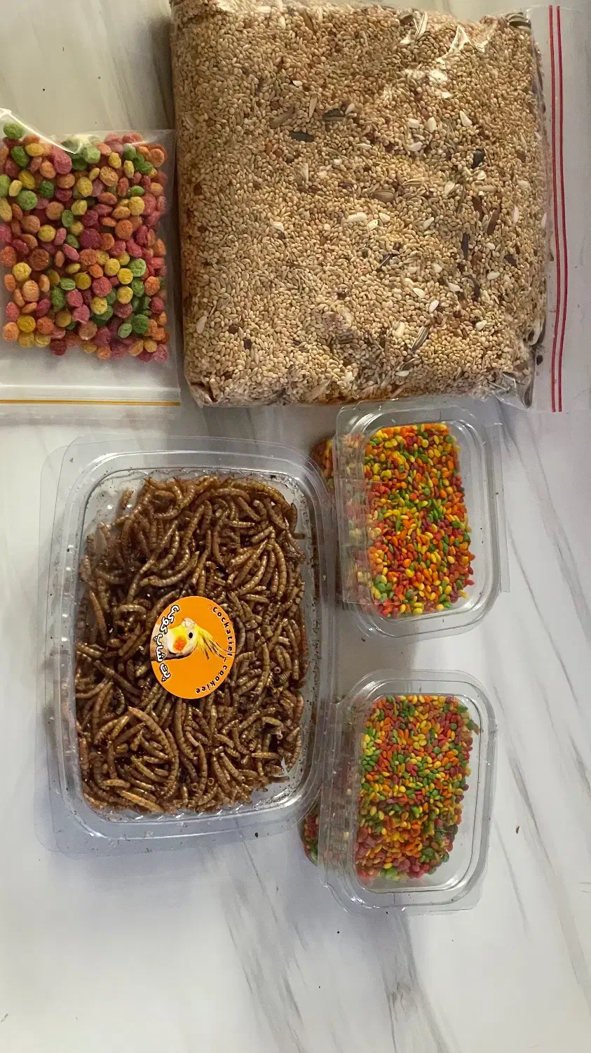 قفس پرنده|لوازم جانبی حیوانات|هشتگرد, شهرک بعثت|دیوار