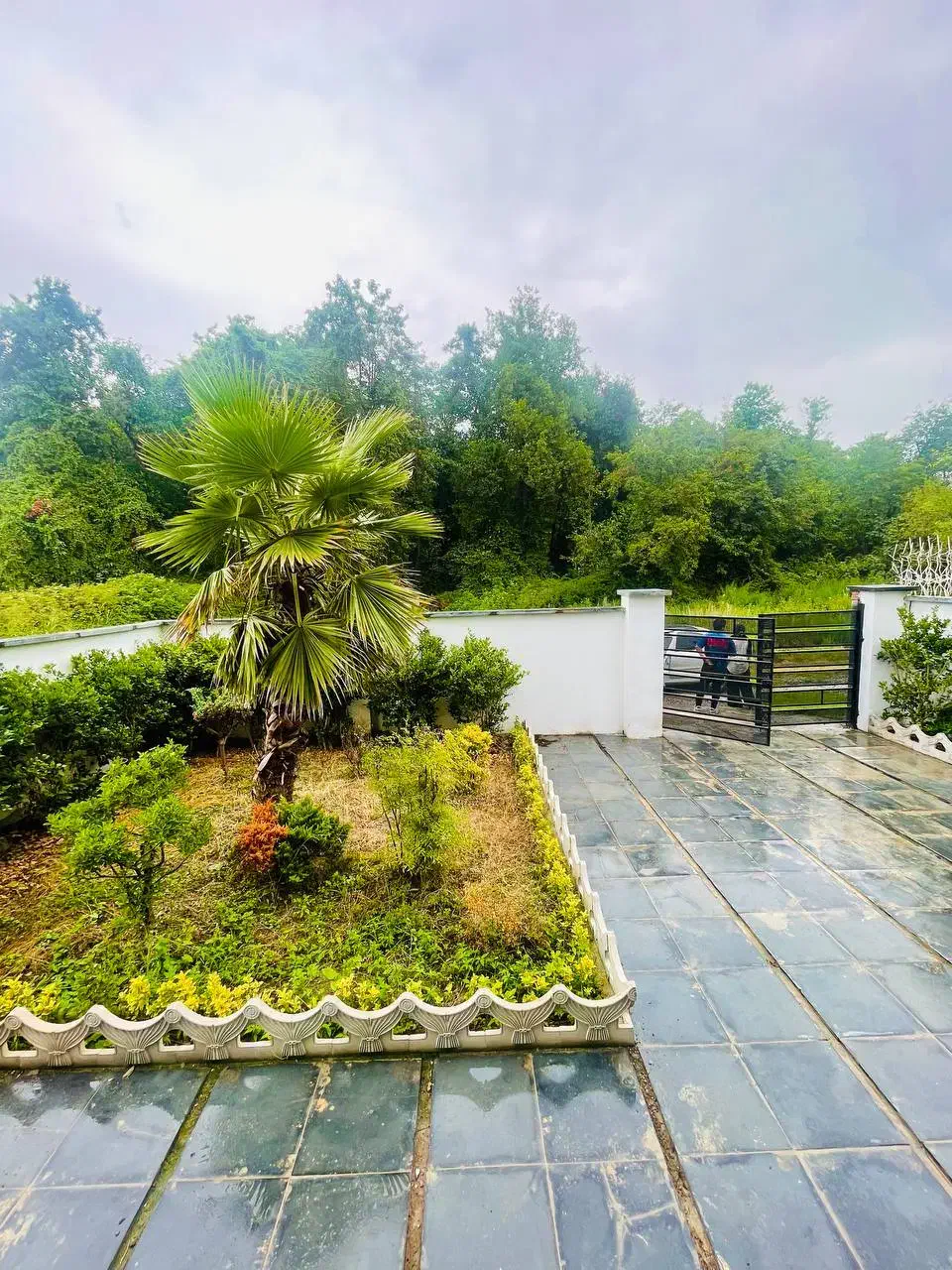 دوبلکس ۲۵۰ متری دو قدمی جنگل استخرداخلی|فروش خانه و ویلا|فریدون‌کنار, |دیوار