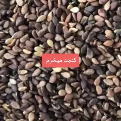 کنجد|خوردنی و آشامیدنی|خورموج, |دیوار