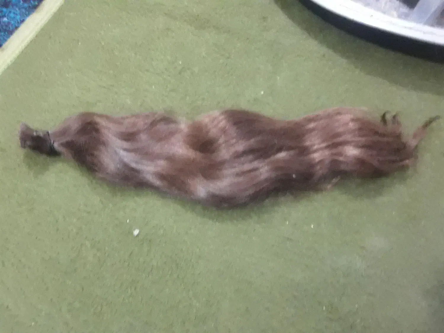 موی سر طبیعی|آرایشی، بهداشتی، درمانی|اسلامآباد غرب, |دیوار