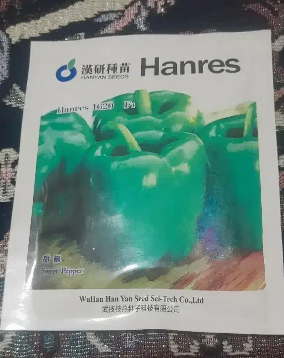 بزرفلفل دلمه هانرس|گل و گیاه طبیعی|خان ببین, |دیوار