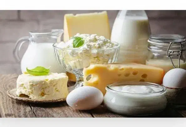 لبنیات تازه|خوردنی و آشامیدنی|قوچان, |دیوار