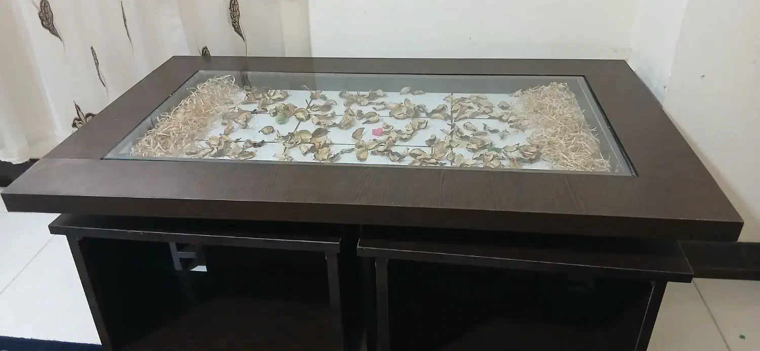 میز عسلی و تلویزیون|مبلمان خانگی و میز عسلی|امیرکلا, |دیوار