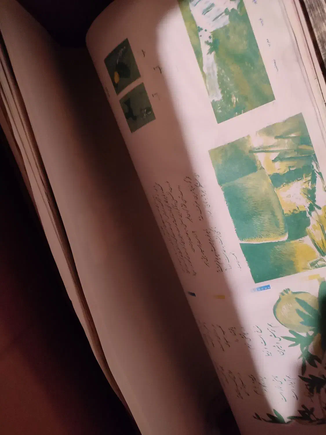 لوازم جانبی پرنده|لوازم جانبی حیوانات|سبزوار, مدرس|دیوار