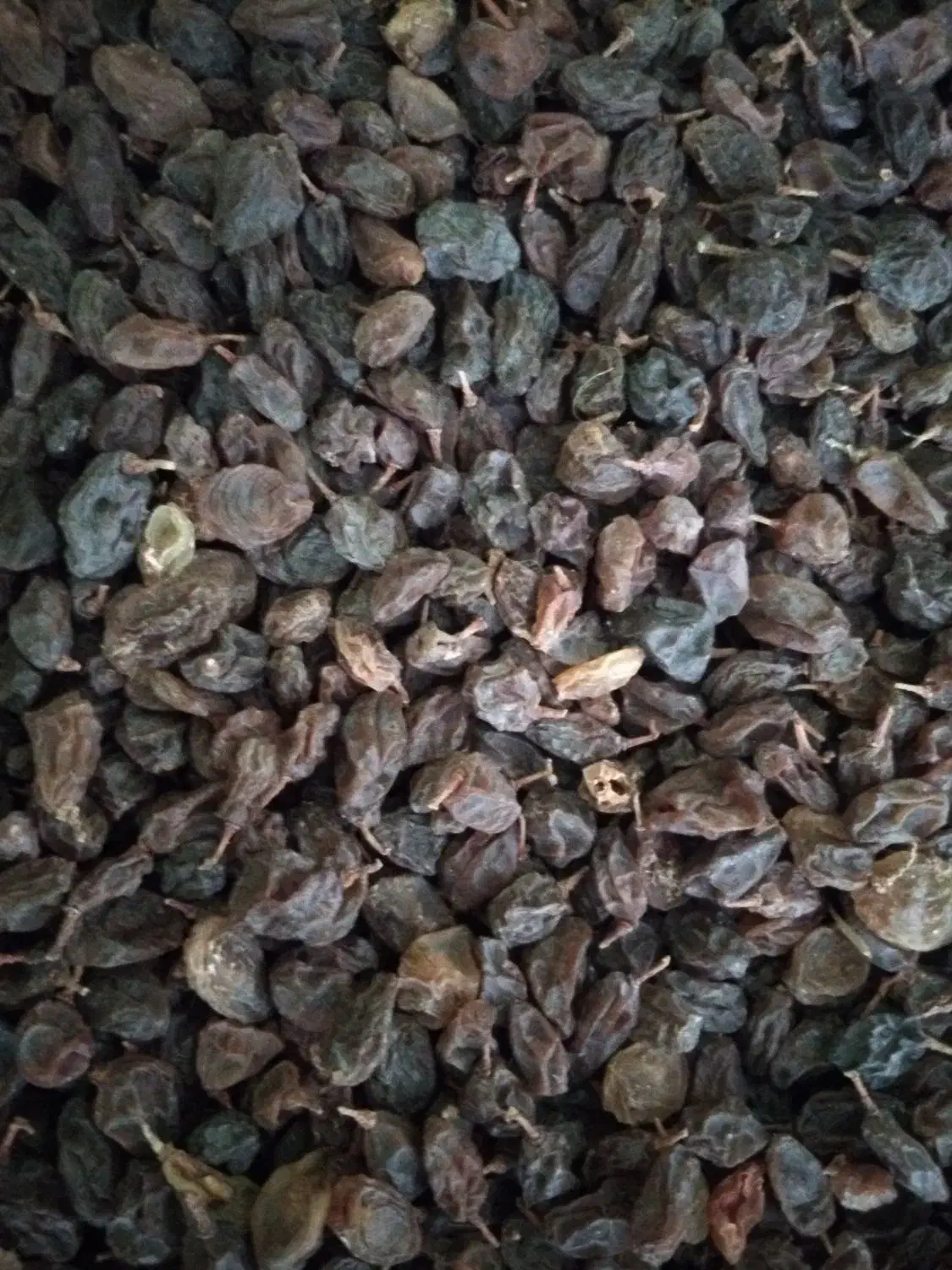 کشمش آفتابی بدون تیزاب|خوردنی و آشامیدنی|نجف‌آباد, امام خمینی|دیوار