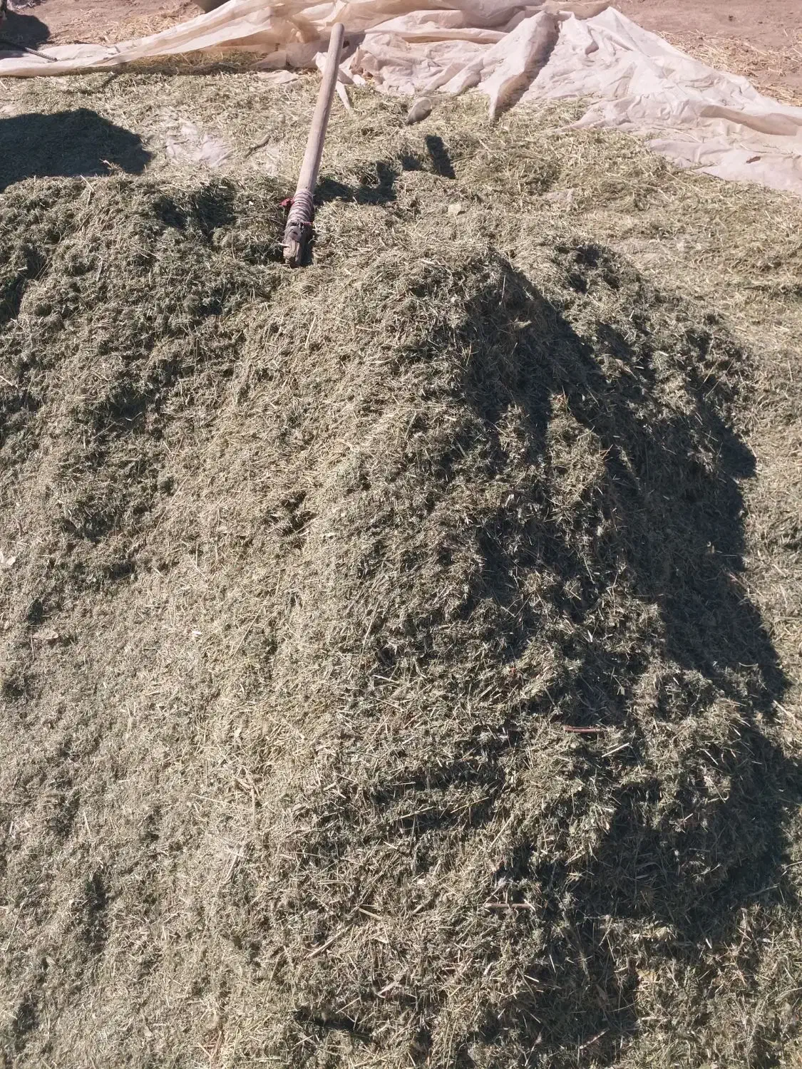 یونجه|لوازم جانبی حیوانات|خاوه, |دیوار