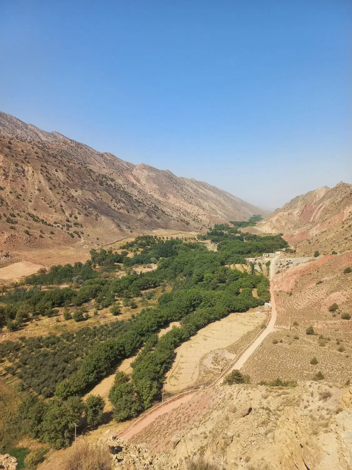 گردو میانکوه سنقز|خوردنی و آشامیدنی|درگز, |دیوار