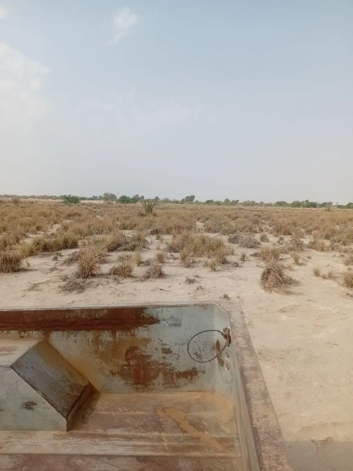 فروش زمین|فروش دفتر صنعتی، کشاورزی، تجاری|تخت, |دیوار