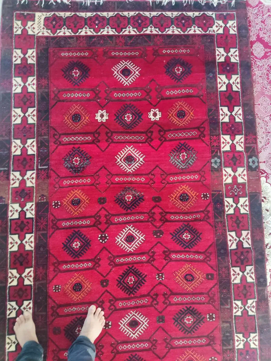 فرش دستباف طرح بلوچ|فرش|ساری, |دیوار