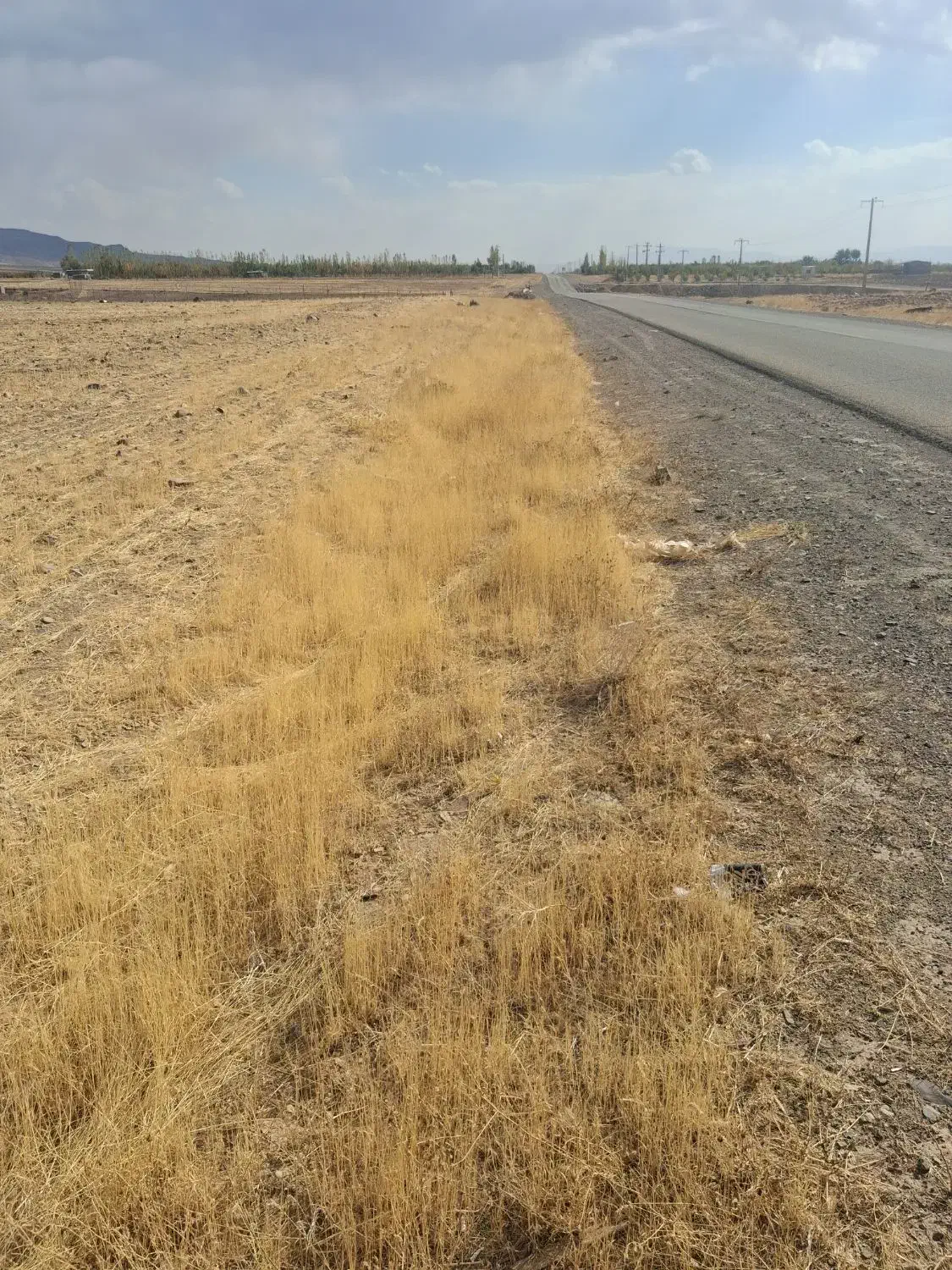 زمین کشاورزی مناسب برای ایجاد باغ|فروش دفتر صنعتی، کشاورزی، تجاری|قره پشتلو, |دیوار