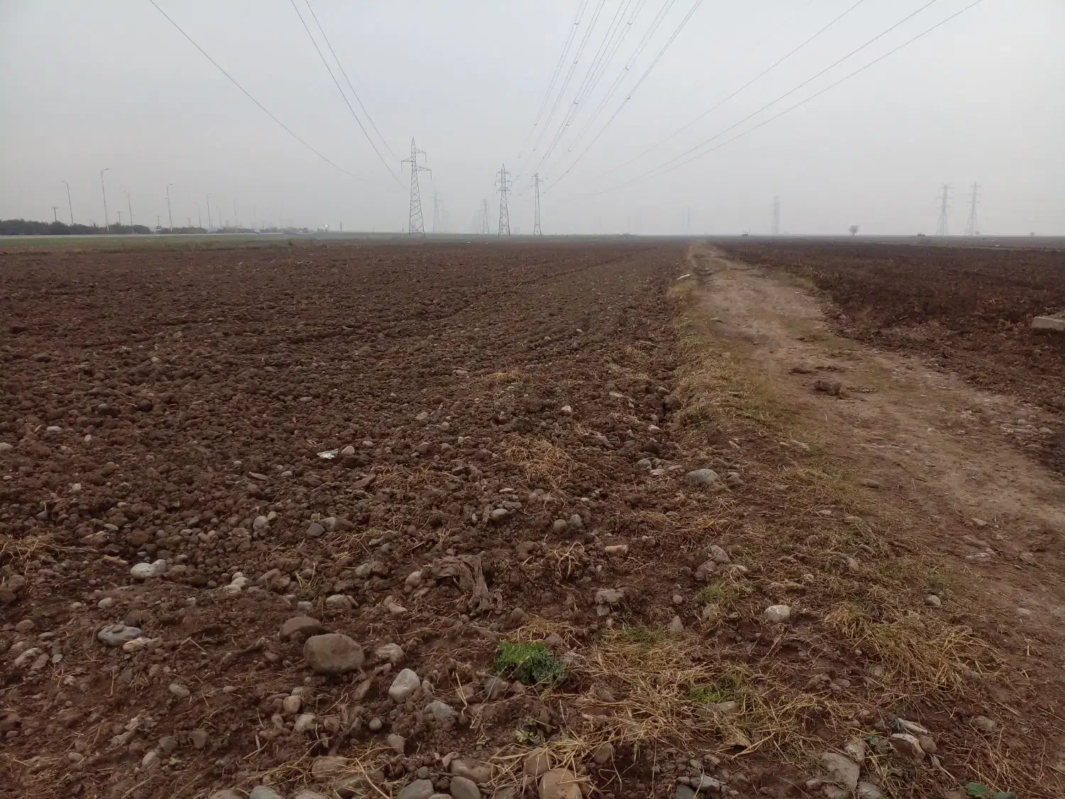 زمین زراعی.کشاورزی|فروش دفتر صنعتی، کشاورزی، تجاری|فاضل آباد, |دیوار