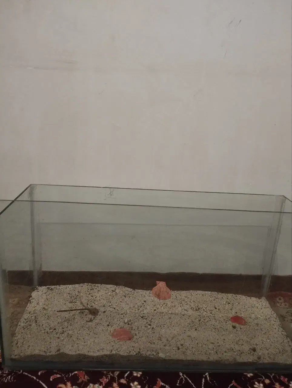 اکواریوم|ماهی|میاندوآب, |دیوار