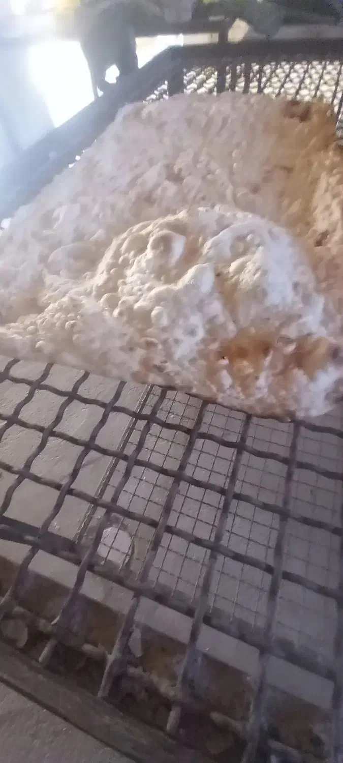 نان لواش محلی مجن|خوردنی و آشامیدنی|بسطام, |دیوار