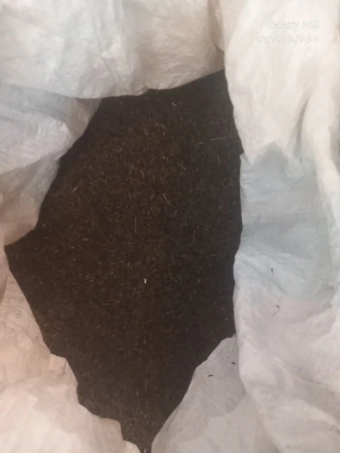 زیره کوهی|خوردنی و آشامیدنی|مشهد, شهید رضوی|دیوار