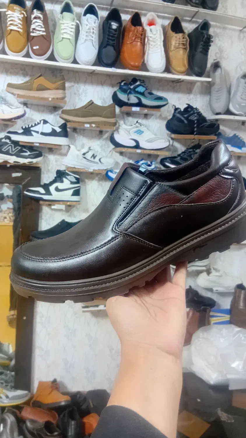 کالج مردانه|کیف، کفش، کمربند|سبزوار, امیر کبیر|دیوار