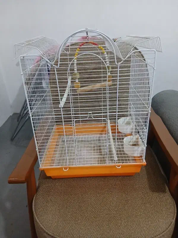 قفس پرنده سالم|لوازم جانبی حیوانات|نسیم‌شهر, |دیوار