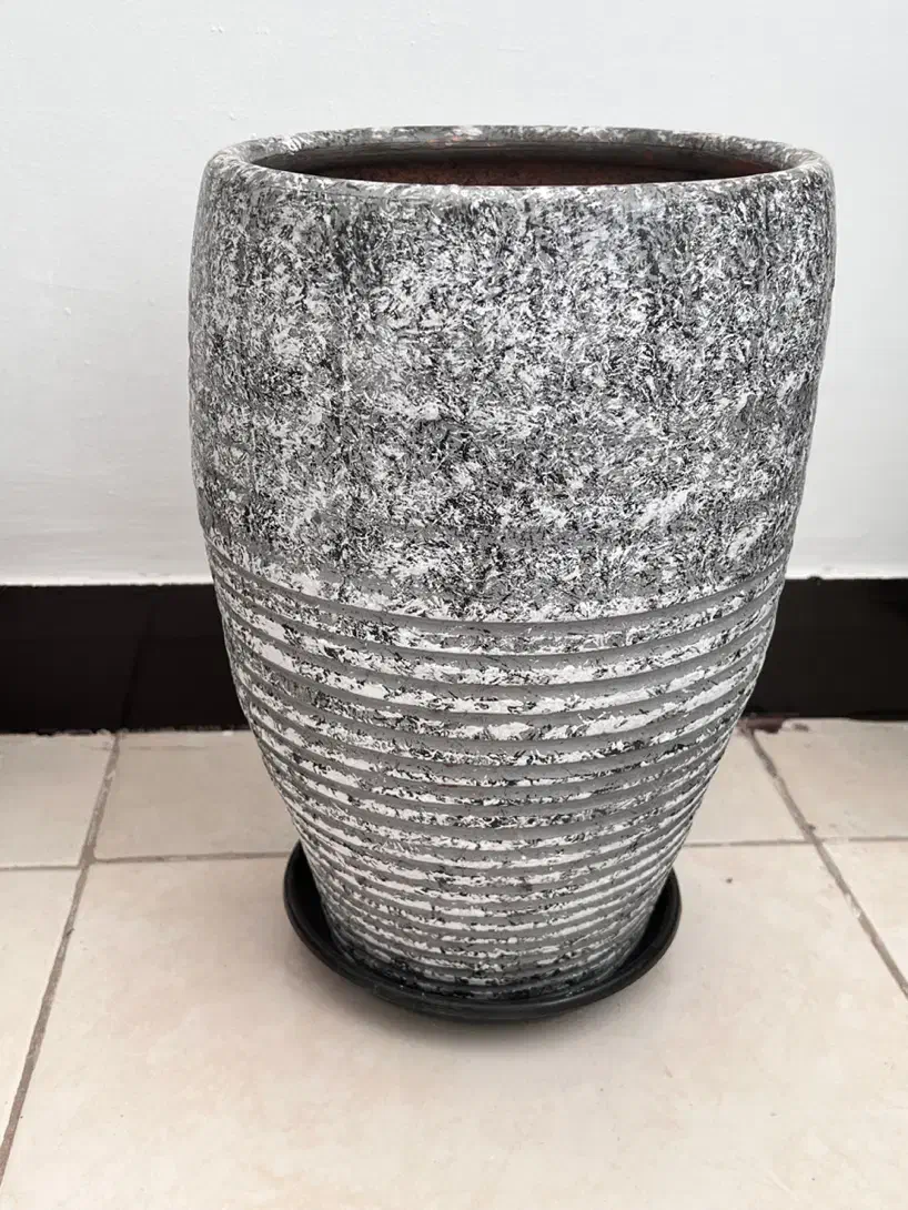 گلدان|گل و گیاه طبیعی|اهواز, کوی نفت|دیوار