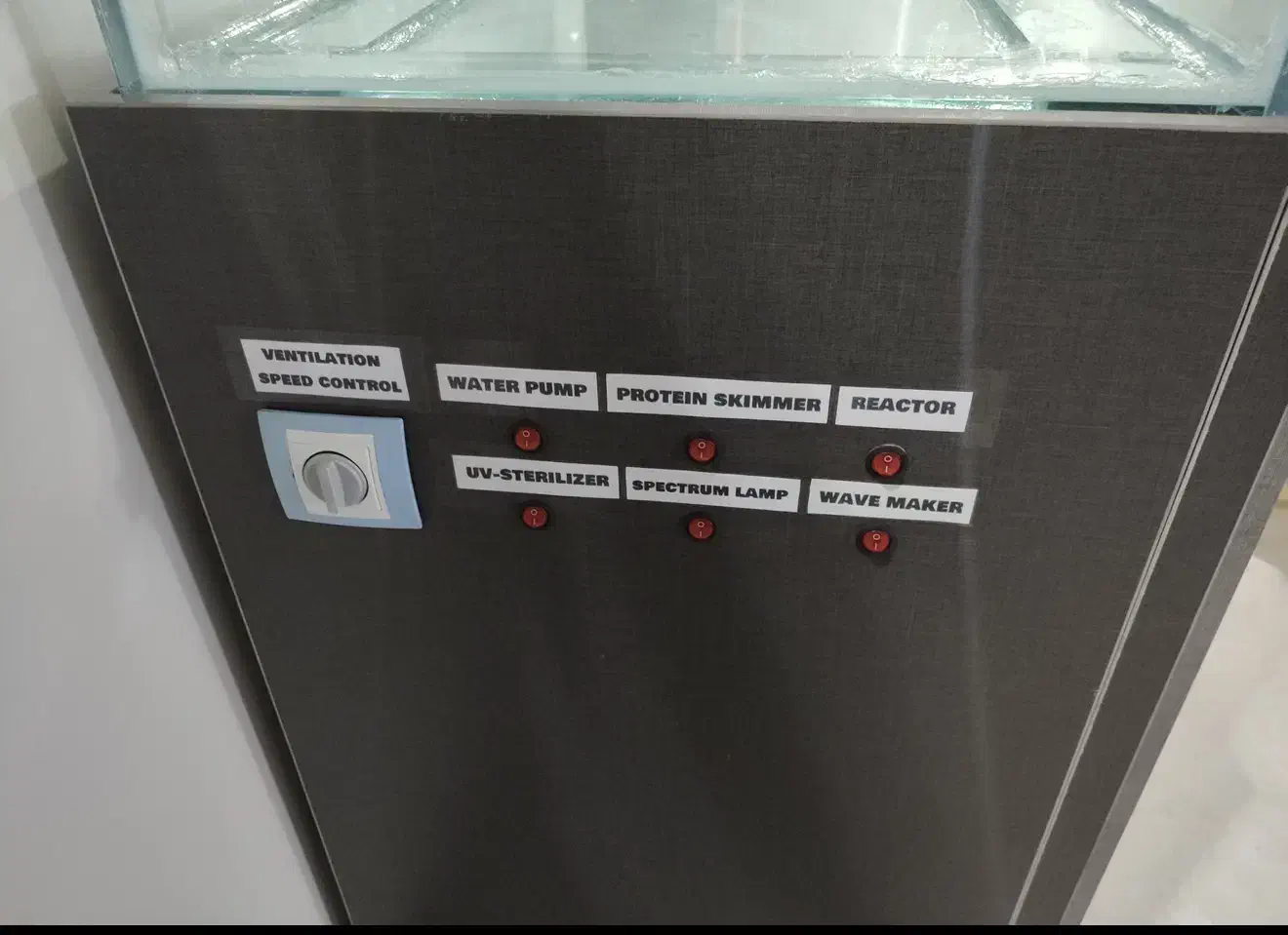 آکواریوم حرفه ای آب شور و شیرین|ماهی|بابلسر, |دیوار