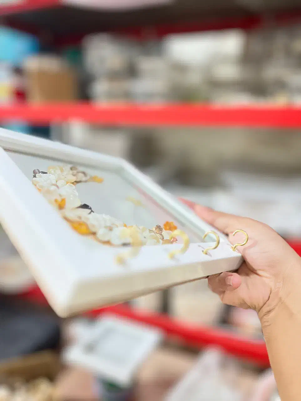 قاب ماه صدفی|صنایع دستی و سایر لوازم تزئینی|بندر گناوه, |دیوار