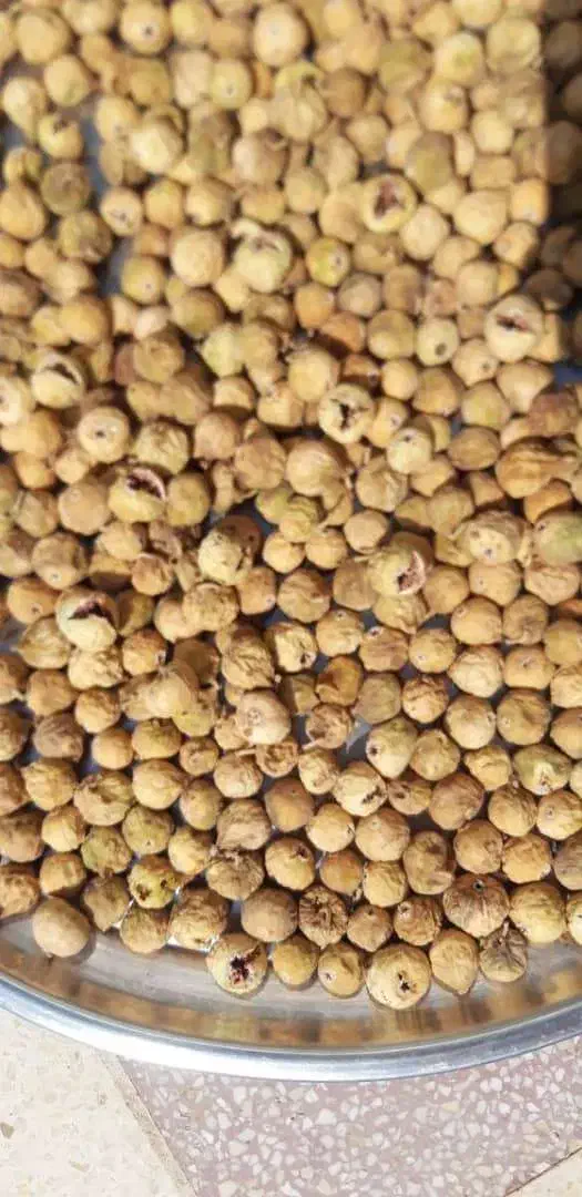 انجیر امسال|خوردنی و آشامیدنی|شیراز, ریاستی|دیوار