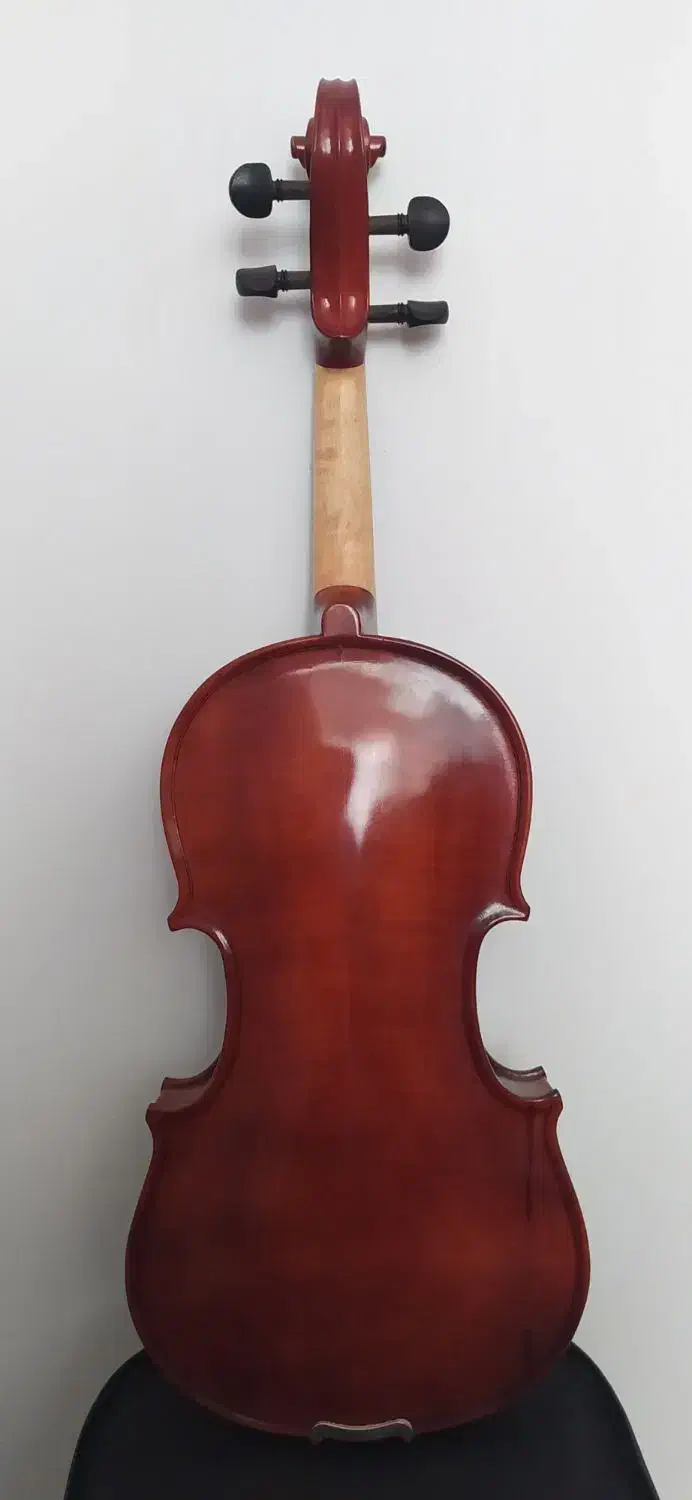 ویولون دست ساز|ویولن|تبریز, |دیوار