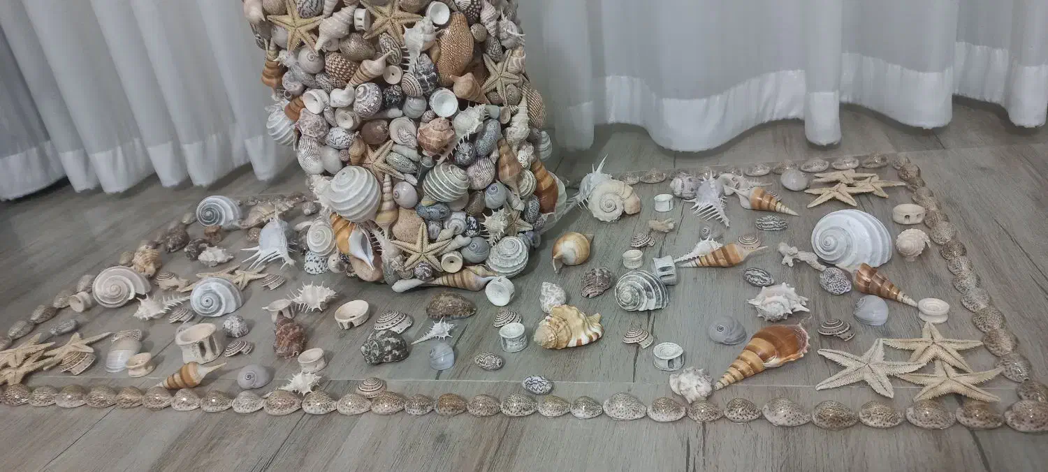 صدف های خوشگل،جهت تزئین|مجسمه، تندیس، ماکت|تبریز, |دیوار