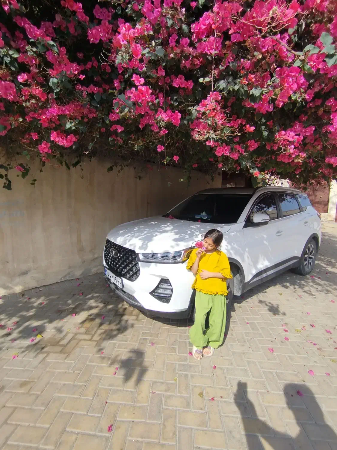 تیگو 7 پرو 1403|خودرو سواری و وانت|بندر ماهشهر, |دیوار