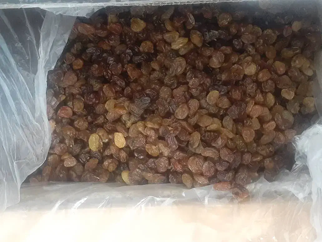 کشمش|خوردنی و آشامیدنی|اهواز, شهرک رزمندگان|دیوار