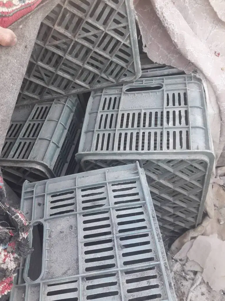 سبد میوه جعبه|ظروف نگهدارنده، پلاستیکی، یک‌بارمصرف|آزادشهر, |دیوار