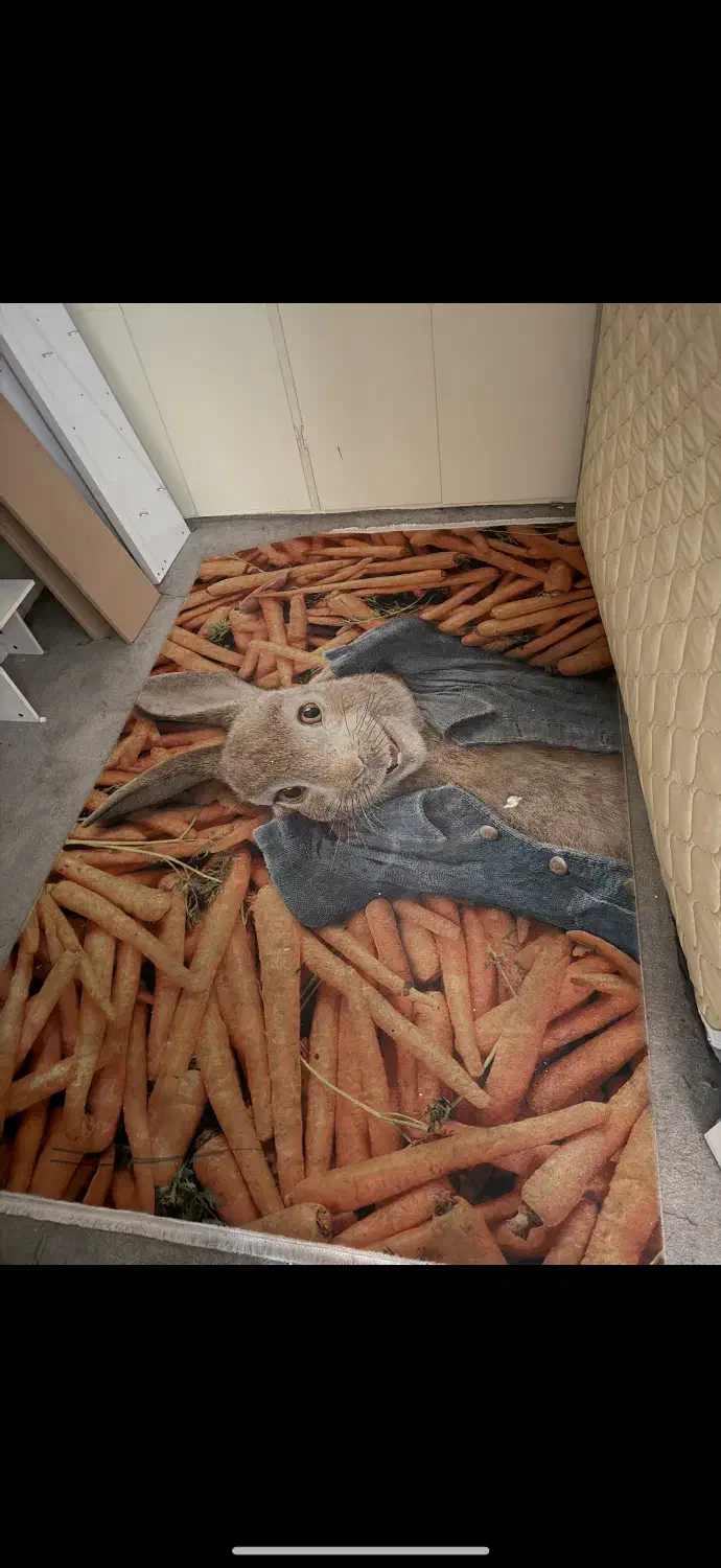 فرش|فرش|تهران, دریا|دیوار