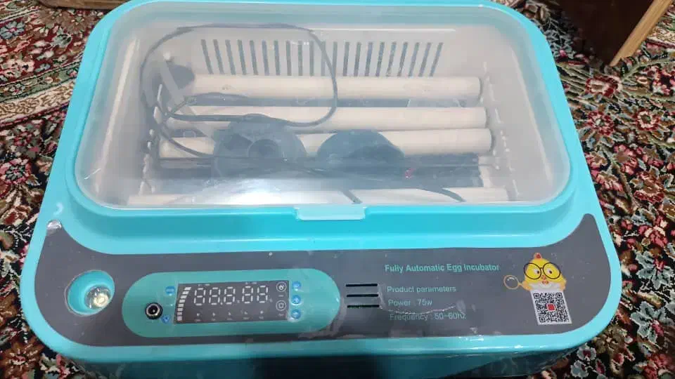 انواع دستگاه جوجه کشی (تعمیرات) شانه کبک و بلدرچین|لوازم جانبی حیوانات|شیراز, کوشک میدان|دیوار