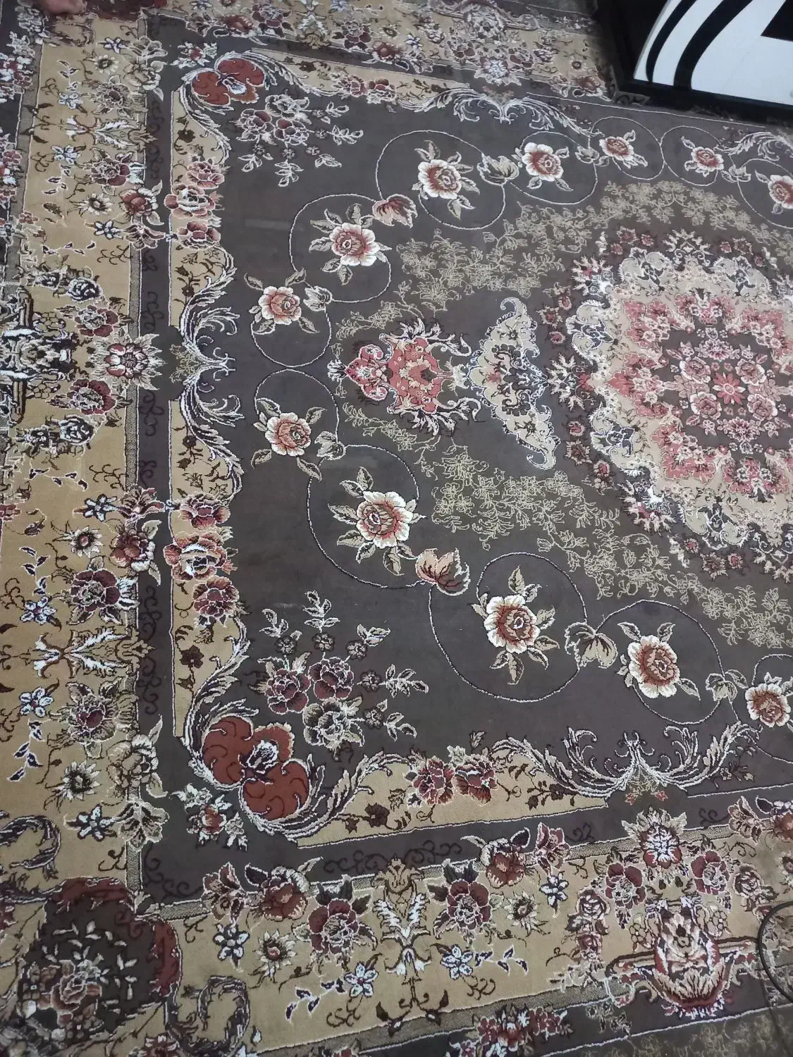 فرش ۷۰۰ شانه گردویی با نو فرقی ندارد|فرش|بندرعباس, |دیوار