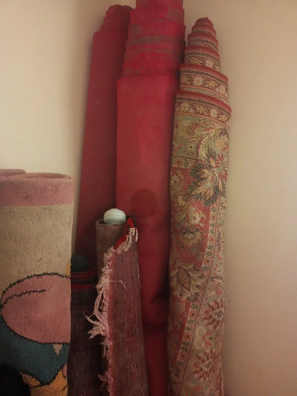 فرش دستبافت موکت|فرش|پرند, فاز ۶|دیوار