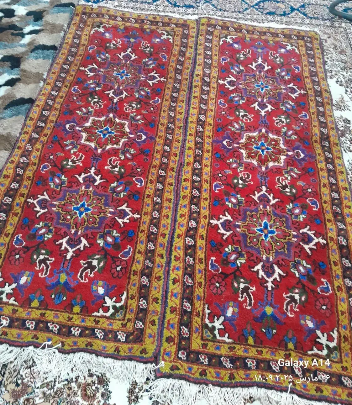 فرش دستباف|فرش|اهر, |دیوار