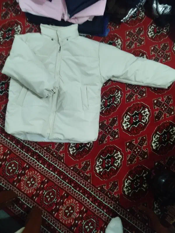 کاپشن عمده ب قیمت مناسب|لباس|گنبد کاووس, |دیوار